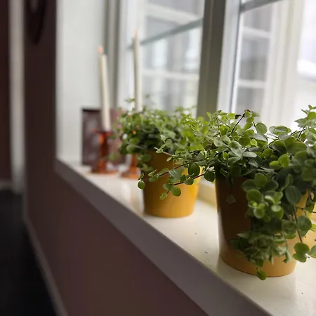 Сasa de vacaciones Huset I Den Lykkelige Gaten *
