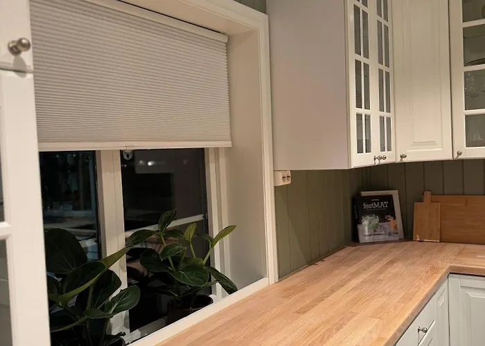 Huset I Den Lykkelige Gaten Tatil Evi Elverum